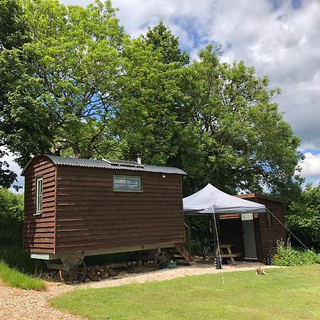 The Shepherds Hut At The Shippen, Tiphayes Honiton Exterior photo